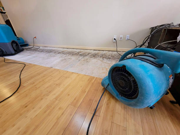 Professional Structural Drying technician working in Zion, IL